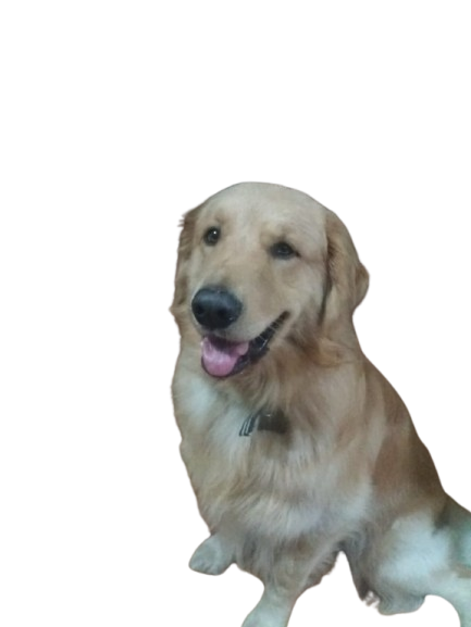 Manny
